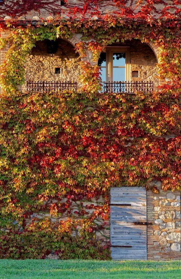 Couette-café Bed and Breakfast Relais Sant'Elena à Bibbona
