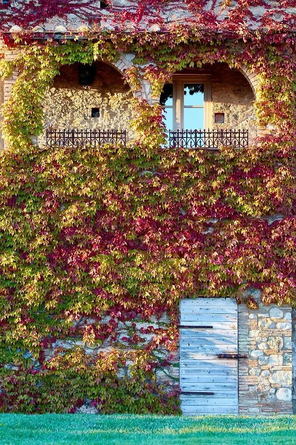 Relais Sant'Elena Bed and Breakfast Bibbona 2*,