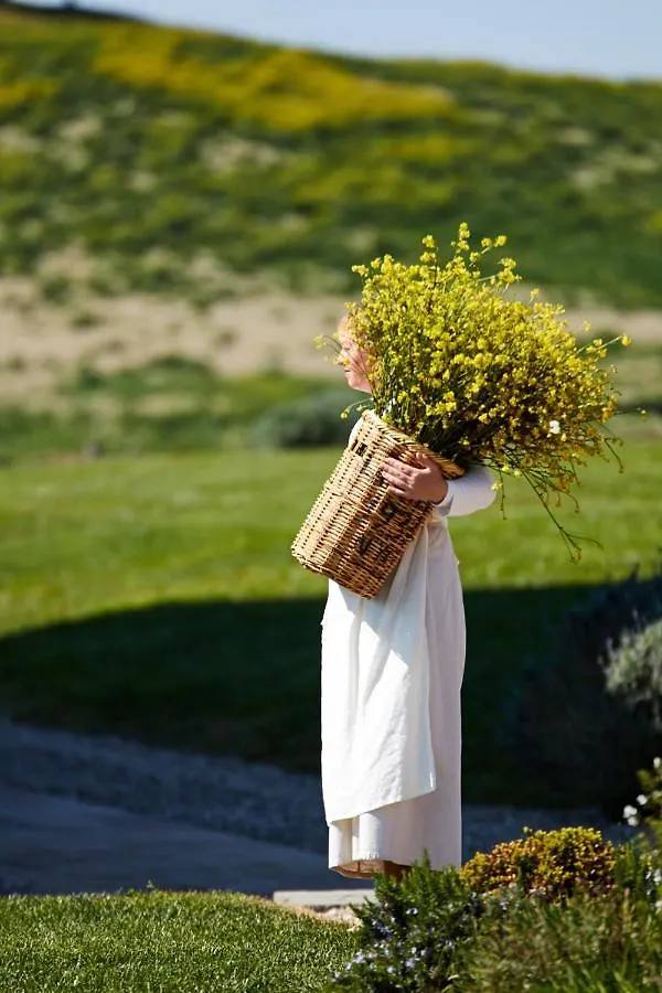 Relais Sant'Elena Bed and Breakfast Bibbona Bed & Breakfast
